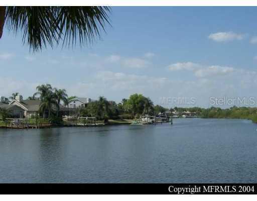 7033 Pelican Island Dr., Tampa, FL 33634