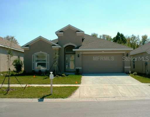 1173 Emerald Hill Way, Valrico, FL 33594