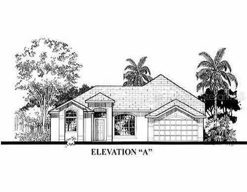 2325 Nesslewood Dr., Wesley Chapel, FL 33543