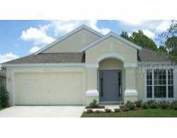 30345 Arrochar St., Wesley Chapel, FL 33545
