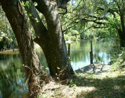 2041 Mulberry Dr., Tampa, FL 33604