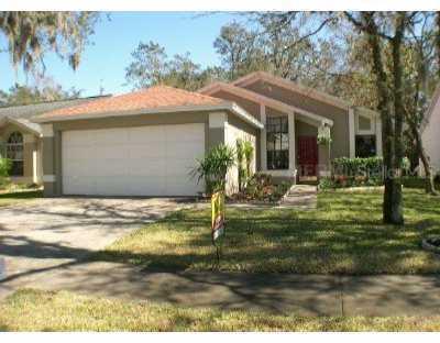 4135 Quail Briar Dr., Valrico, FL 33594