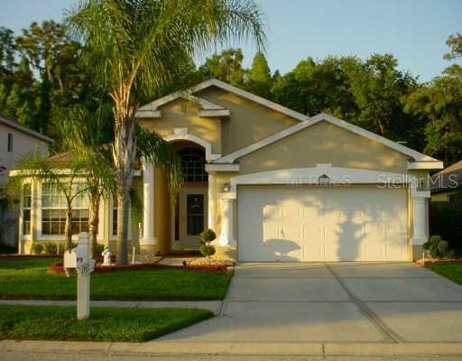 29437 Birds Eye Dr., Wesley Chapel, FL 33543