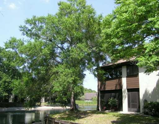 4154 Pinelake Ln. #201, Tampa, FL 33618