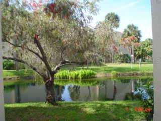 3825 Lake   #217 Dr. #217, Tampa, FL 33614