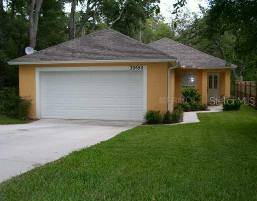 30650 Muirfield St., Sorrento, FL 32776