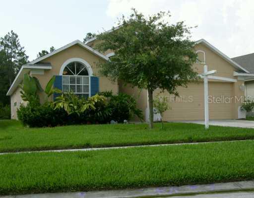 12532 Blazing Star Dr., Tampa, FL 33626