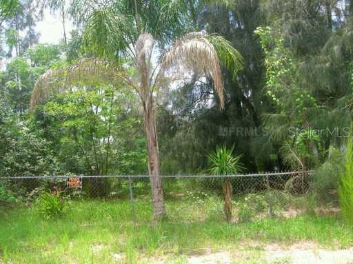 6402 Oran St., Tampa, FL 33610