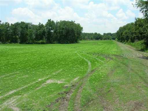 1103 Colson Rd., Plant City, FL 33567