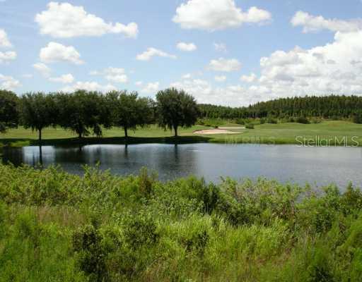 5705 Tpc Blvd., Lutz, FL 33558