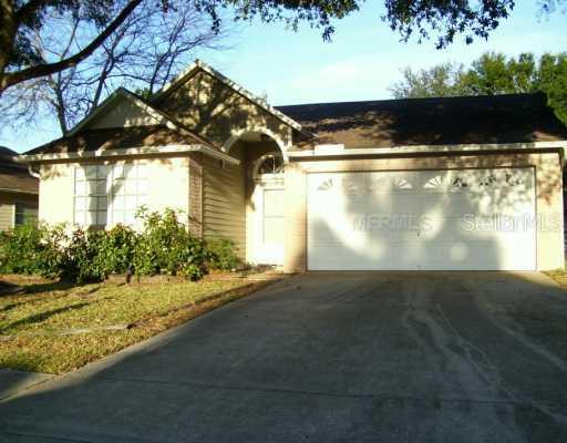1869 Tinsmith Creek, Lutz, FL 33559