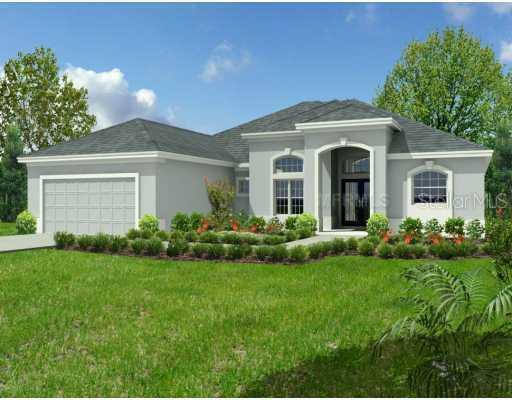 2405 Fountain Grass Dr., Valrico, FL 33594