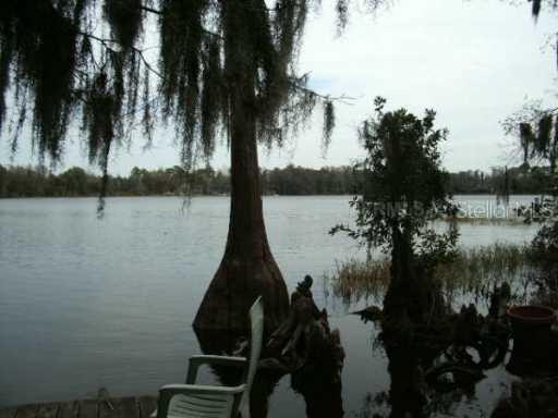 3715 Little Rd., Lutz, FL 33548