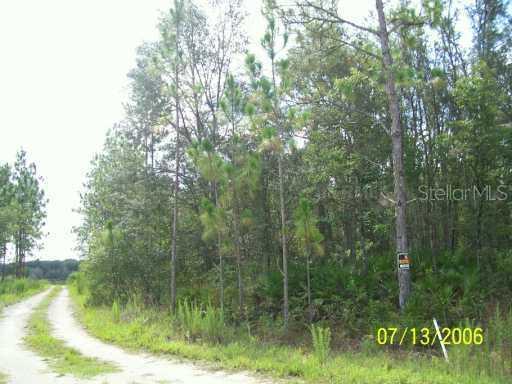 8260 Cashew Dr., Webster, FL 33597