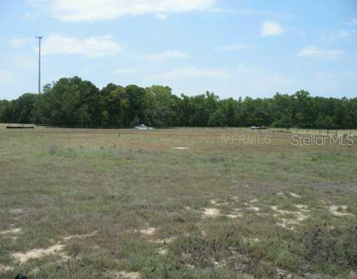 6810 Mcintosh Skyview Ln., Thonotosassa, FL 33592