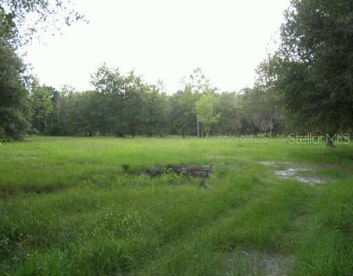 33243 Mandrake Rd., Wesley Chapel, FL 33543