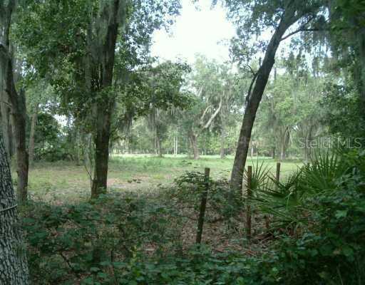 Bob Smith Rd., Plant City, FL 33565