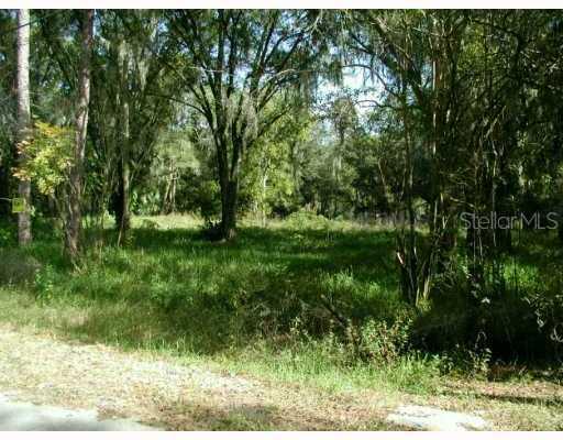 9710 Allen Rd., Keysville, FL 33547