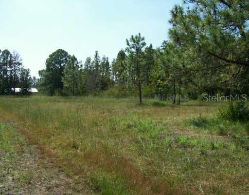 16845 Whirley Rd., Lutz, FL 33558