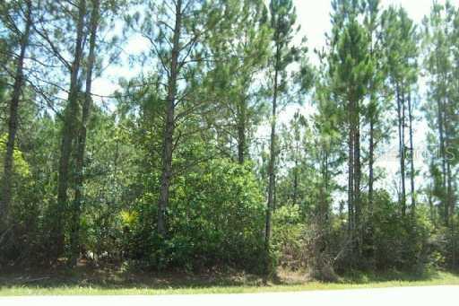 Quail Hollow, Wesley Chapel, FL 33544