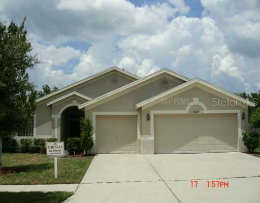 19645 Ellendale Dr., Land O Lakes, FL 34638