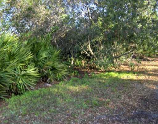 Lafitte Dr., Hudson, FL 34667