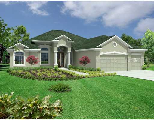 2407 Fountain Grass Dr., Valrico, FL 33594