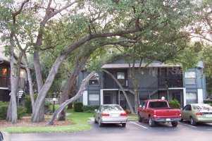 14550 Bruce B Downs Blvd. #179, Tampa, FL 33613