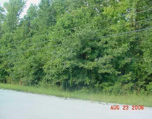 11503 Donneymor Dr., Riverview, FL 33569