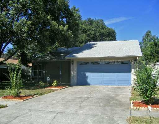2304 Southern Lites Ave., Lutz, FL 33549
