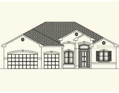 Golden Raintree Pl., Brandon, FL 33510