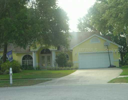 17003 Amber Lake Ct., Lutz, FL 33549