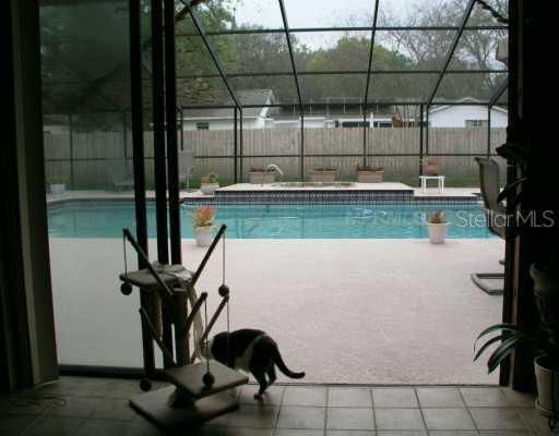 8701 Elmdale Pl., Tampa, FL 33637