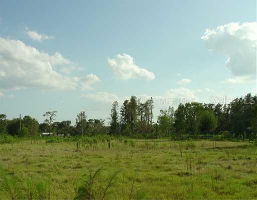 4610 Scott Rd., Lutz, FL 33558