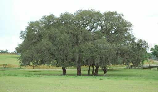 A.d. May Rd., Dade City, FL 33523