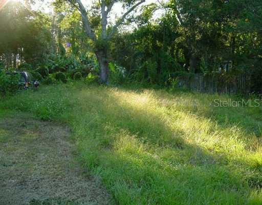 12914 Worchester Ave., Tampa, FL 33629