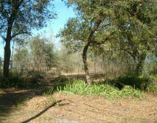 Palm Ave., Seffner, FL 33584