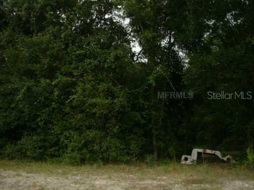 Hwy, Webster, FL 33597