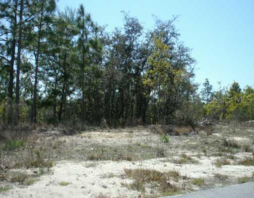 13208 Brechner St., Spring Hill, FL 34608
