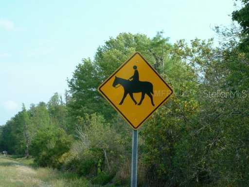 Dormany Rd., Plant City, FL 33565