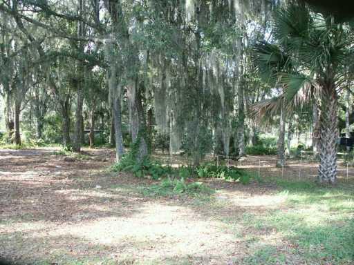 0 County Road 430 Hwy., Lake Panasoffkee, FL 33538