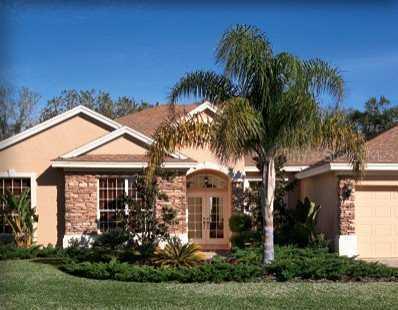 3745 Sorrel Vine Dr., Wesley Chapel, FL 33543