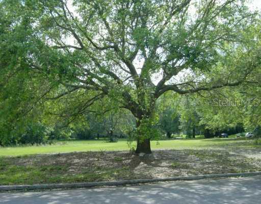 16228 Villarreal De, Tampa, FL 33613