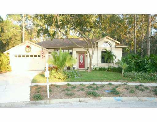 6302 Secret Ct., Tampa, FL 33625