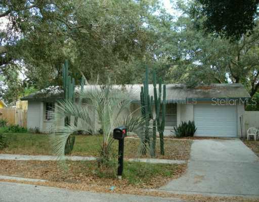 2226 Selkirk St., Valrico, FL 33594