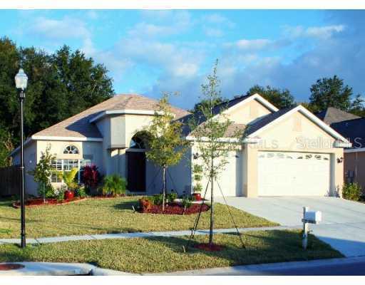 1215 Emerald Hill Way, Valrico, FL 33594