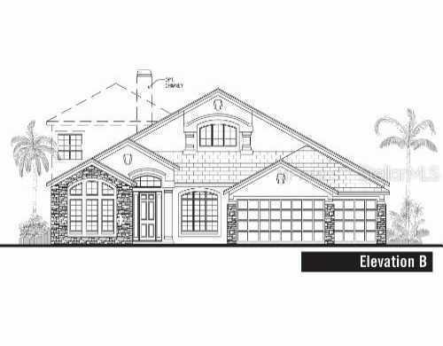 1511 Salmonberry St., Wesley Chapel, FL 33543