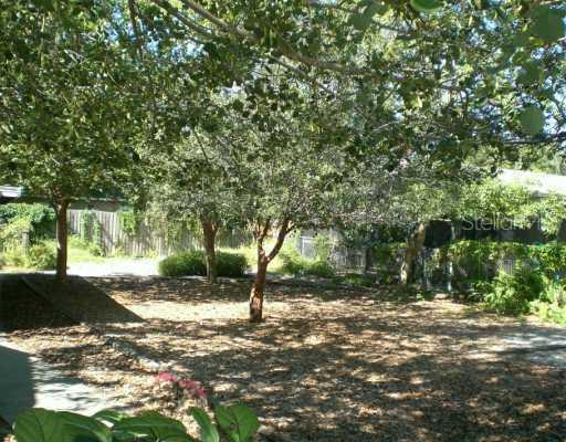 1505 Georgia Ave., Tampa, FL 33629