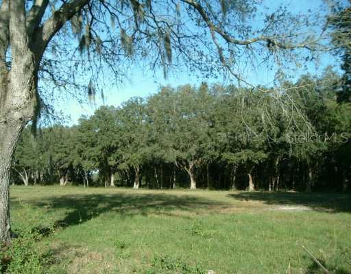 2820 Mystic Oaks Dr., Plant City, FL 33565