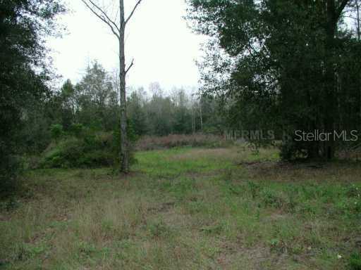 Opportunity, Dade City, FL 33525